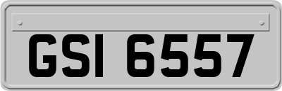 GSI6557