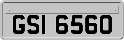 GSI6560
