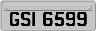 GSI6599