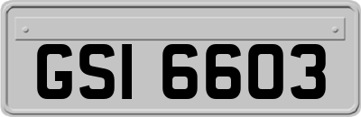 GSI6603