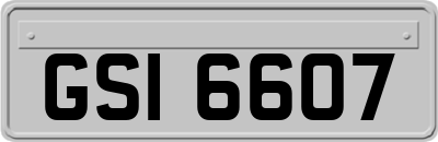GSI6607