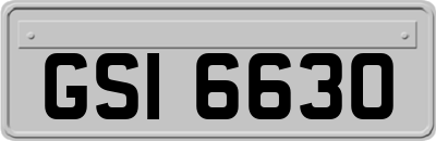 GSI6630