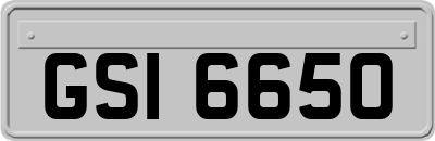 GSI6650