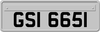GSI6651