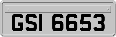 GSI6653
