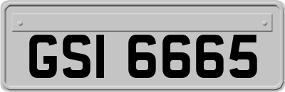 GSI6665