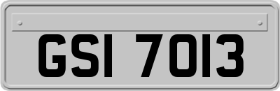 GSI7013