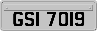 GSI7019