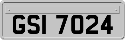 GSI7024