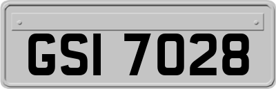 GSI7028
