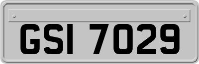 GSI7029
