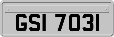 GSI7031