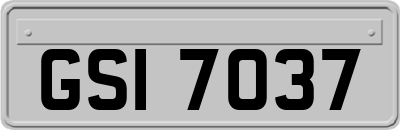 GSI7037