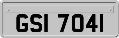 GSI7041