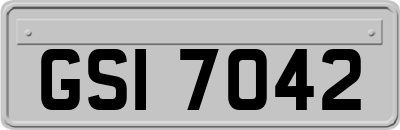 GSI7042