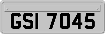 GSI7045