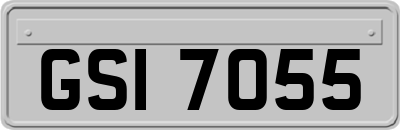 GSI7055