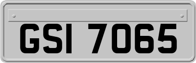 GSI7065