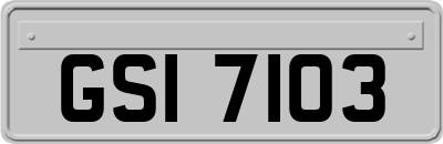 GSI7103