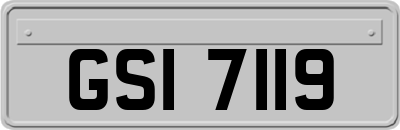 GSI7119