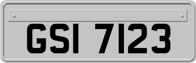 GSI7123