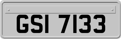 GSI7133