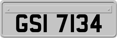 GSI7134