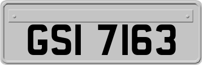 GSI7163