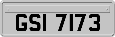 GSI7173