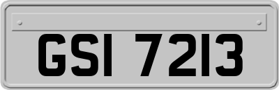 GSI7213