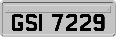 GSI7229