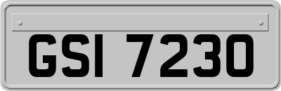 GSI7230