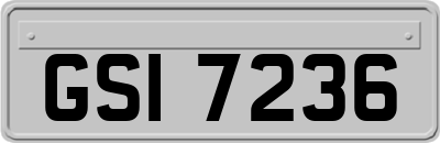 GSI7236