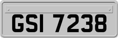 GSI7238