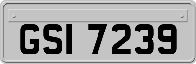 GSI7239