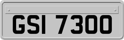 GSI7300