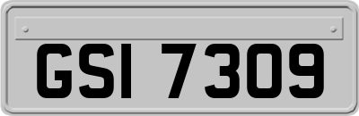 GSI7309