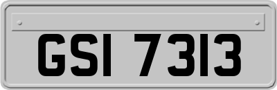 GSI7313