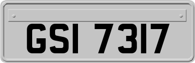 GSI7317