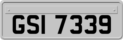 GSI7339