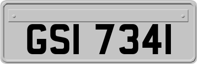 GSI7341