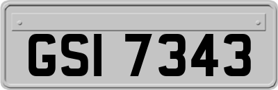 GSI7343