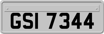 GSI7344
