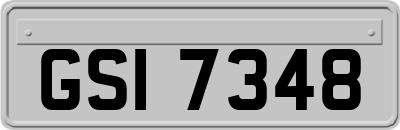 GSI7348