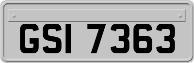 GSI7363