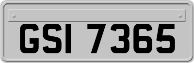 GSI7365
