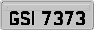 GSI7373