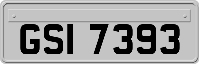 GSI7393