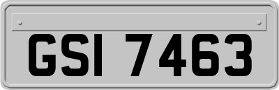 GSI7463