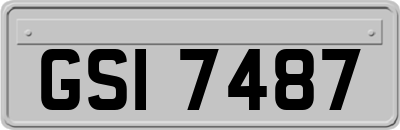 GSI7487